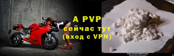 стафф Алексин