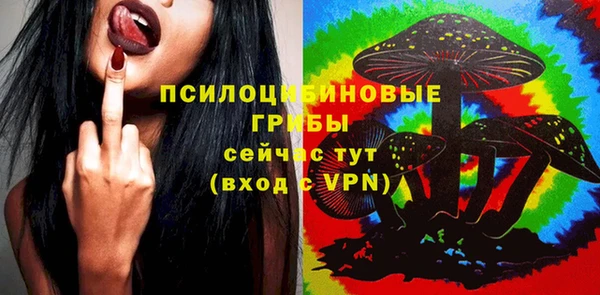 МДПВ Алзамай