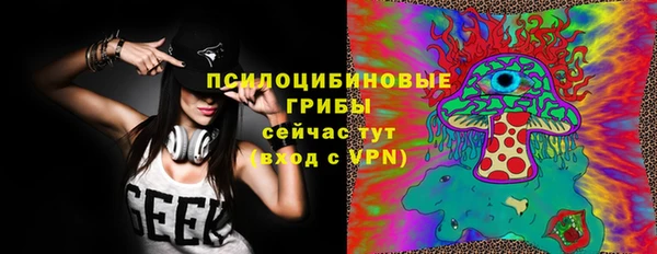 стафф Алексин