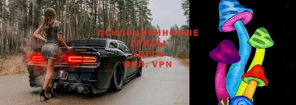 стафф Алексин
