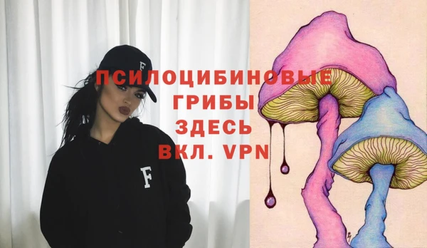 прущие грибы Алексеевка