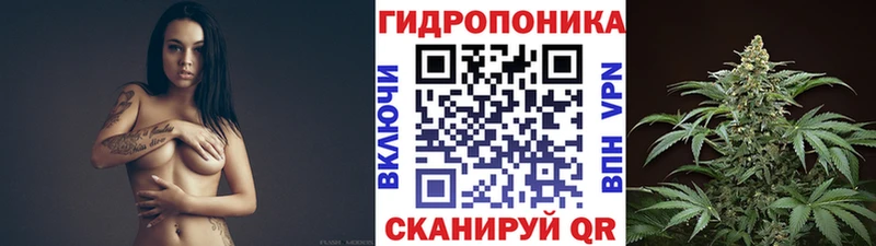 Канабис OG Kush  Ессентукская 